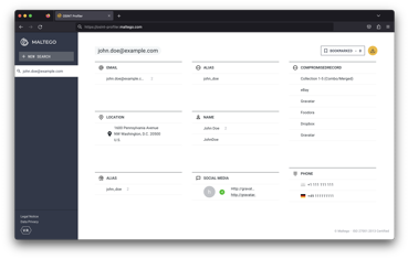 Maltego OSINT Profiler